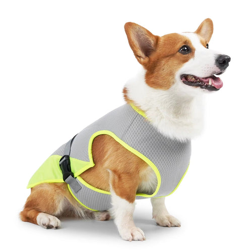 gid://shopify/MediaImage/42650697269507